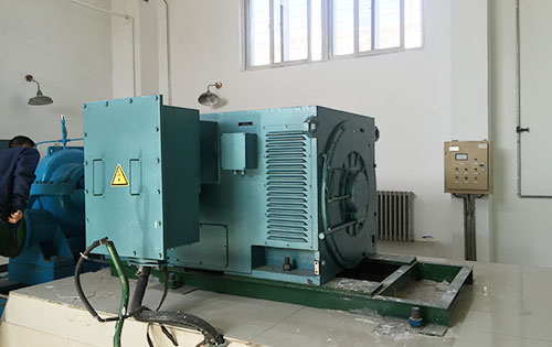 新平某水电站工程主水泵使用我公司高压电机一年质保